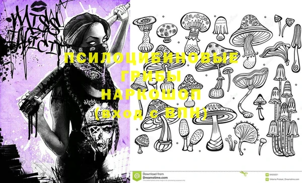 круглые Надым
