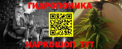 соль ск Партизанск