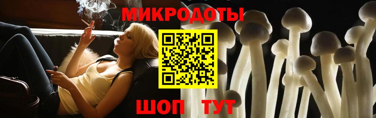 Усть-Кут  Галлюциногенные грибы Psilocybe  Вход с VPN 